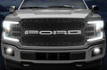 Ford F150 Black Steel Grille ('18-'20) FORD with XLite (LED Underlay)