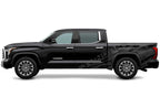 Toyota Tundra Half-Side Decals ('22-'26) TUNDRA Shred