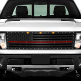 Ford Raptor Grille ('10-'14) Black Steel, Thin Red Line / w Acrylic Underlay