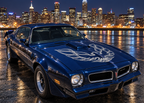 Pontiac TransAm Vinyl Firebird Hood Decal Graphics