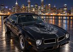 Pontiac TransAm Vinyl Firebird Hood Decal Graphics