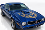 Pontiac TransAm Vinyl Firebird Hood Decal Graphics