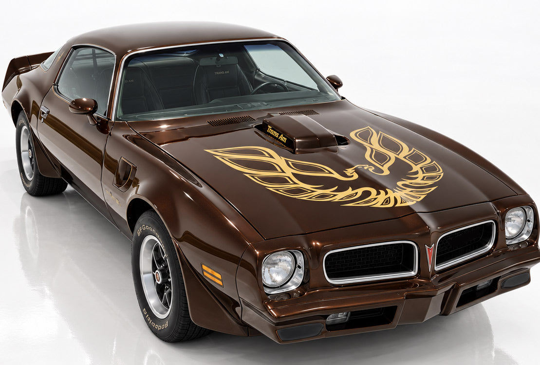 Pontiac TransAm Vinyl Firebird Hood Decal Graphics