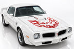 Pontiac TransAm Vinyl Firebird Hood Decal Graphics