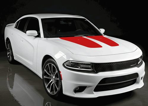 $     Dodge Charger Vinyl Stripes Kit ('11-'14) Hood Accents