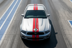 Red Stripes racing graphics on a Ford Mustang  - Hood Close Up