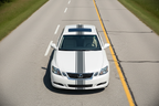 Lexus GS Nimbus Gray Stripes - Top Down View. Can trim roof to make room for sun roof.
