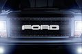 Ford F150 Steel Grille ('09-'14) FORD X-Lite - RacerX Customs