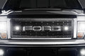 Ford F150 Grille ('09-'14) Stainless Steel FORD w/ LED Light Pods - RacerX Customs