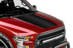 Ford F150 Hood Graphics (2015-2018) CARBON FIBER - RacerX Customs