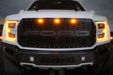 Ford Raptor Grille (2015-2019) with BLUE X-LITE - RacerX Customs