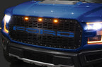 Ford Raptor Grille (2015-2019) Blue FORD Logo - RacerX Customs