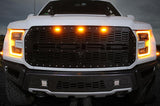 Custom Ford Raptor Grille (2015-2019) - RacerX Customs