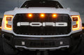 Ford Raptor Grille (2015-2019) with X-LITE - RacerX Customs