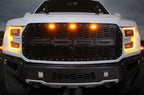 Ford Raptor Grille (2015-2019) with X-LITE - RacerX Customs