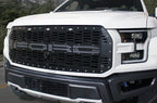 Ford Raptor Grille (2015-2019) with X-LITE - RacerX Customs