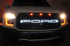 Ford Raptor Grille (2015-2019) with X-LITE - RacerX Customs
