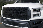 Custom Ford Raptor Grille (2015-2019) - RacerX Customs