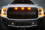 Ford Raptor Grille (2015-2019) with RED X-LITE - RacerX Customs