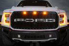 Ford Raptor Grille (2015-2019) FORD Logo - RacerX Customs