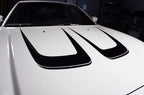 Dodge Charger Vinyl Stripes Kit (2011-2014) Hood Stripes - RacerX Customs