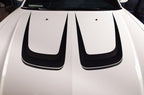 Dodge Charger Vinyl Stripes Kit (2011-2014) Hood Stripes - RacerX Customs