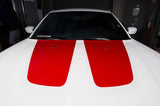 Dodge Charger Vinyl Stripes Kit (2011-2014) Hood Accents - RacerX Customs