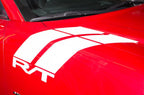 Dodge Charger RT Vinyl Stripes Kit (2011-2014) Hash Stripes - RacerX Customs