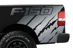 Ford F150 Quarter Panel Vinyl Wrap (2004-2008) F150 - RacerX Customs