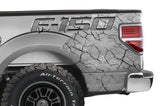 Ford F150 Quarter Panel Graphics-Wrap (2009-2014) STONE - RacerX Customs