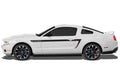 Ford Mustang Vinyl Side-Stripe Kit (2010-2014) Accent Stripes - RacerX Customs