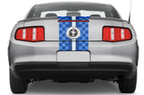 Ford Mustang Racing Stripes Graphic Kit (2010-2014) CHECKERED FLAG - RacerX Customs