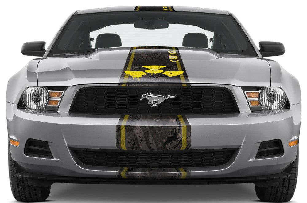 MELTDOWN  Racing Stripes Graphic Kit on a Ford Mustang (2010-2014)  - RacerX Customs