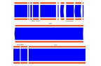 Ford Mustang Racing Stripes Graphic Kit (2010-2014) RED, WHITE & BLUE - RacerX Customs