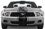 Ford Mustang Racing Stripes Graphic Kit (2010-2014) - RacerX Customs
