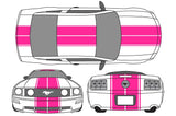 Ford Mustang Vinyl Stripes Wrap Kit (2005-2009) Racing Stripes - RacerX Customs