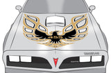 Pontiac Trans-Am Firebird Hood Decal (13 color options) - RacerX Customs