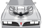 Pontiac Trans-Am Firebird Hood Decal (13 color options) - RacerX Customs