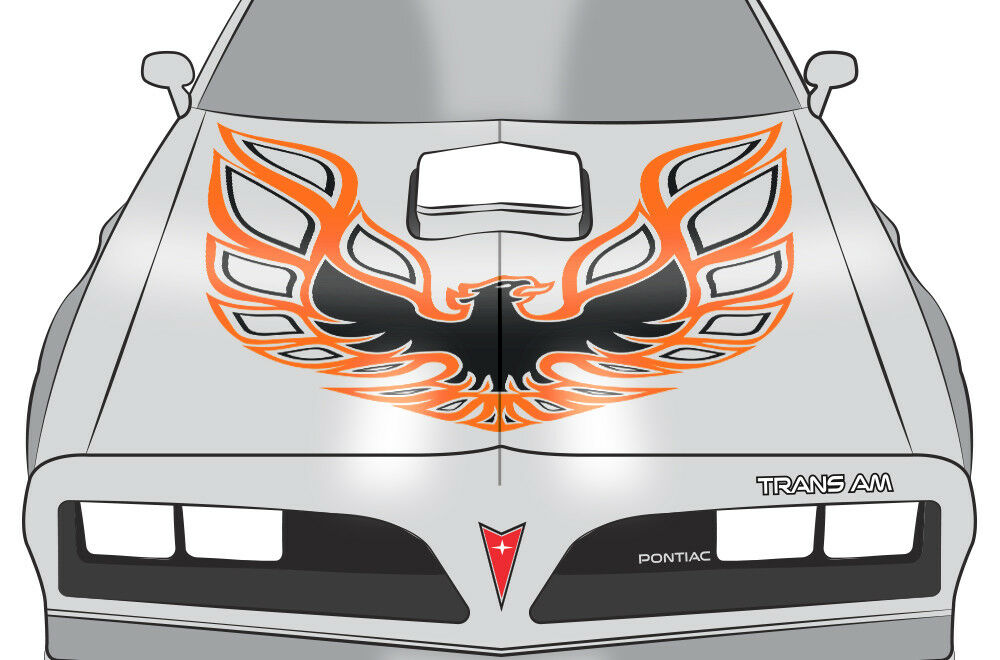 Pontiac Trans-Am Firebird Hood Decal (13 color options) - RacerX Customs