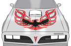 Pontiac Trans-Am Firebird Hood Decal (13 color options) - RacerX Customs