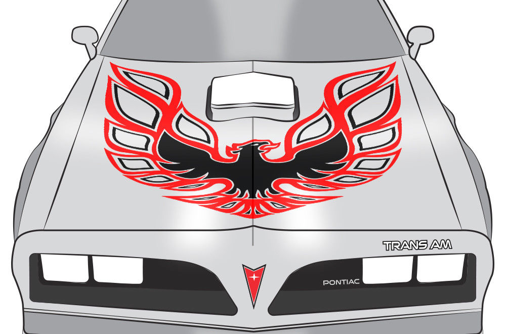 Pontiac Trans-Am Firebird Hood Decal (13 color options) - RacerX Customs