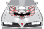Pontiac Trans-Am Firebird Hood Decal (13 color options) - RacerX Customs