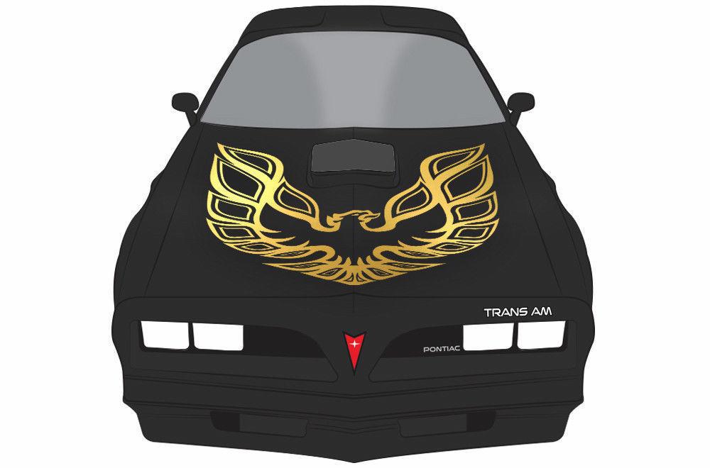 Pontiac TransAm Vinyl Firebird Graphic Wrap Decal - RacerX Customs