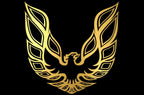 Pontiac TransAm Vinyl Firebird Graphic Wrap Decal - RacerX Customs