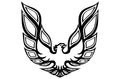 Pontiac TransAm Vinyl Firebird Graphic Wrap Decal - RacerX Customs