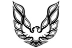 Pontiac TransAm Vinyl Firebird Graphic Wrap Decal - RacerX Customs