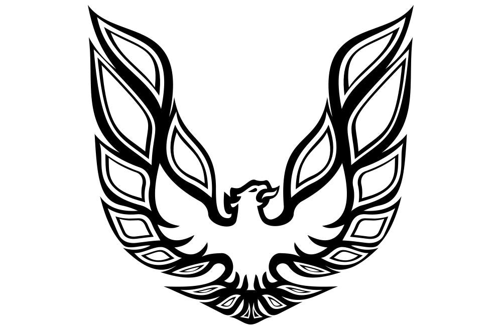 Pontiac TransAm Vinyl Firebird Graphic Wrap Decal - RacerX Customs