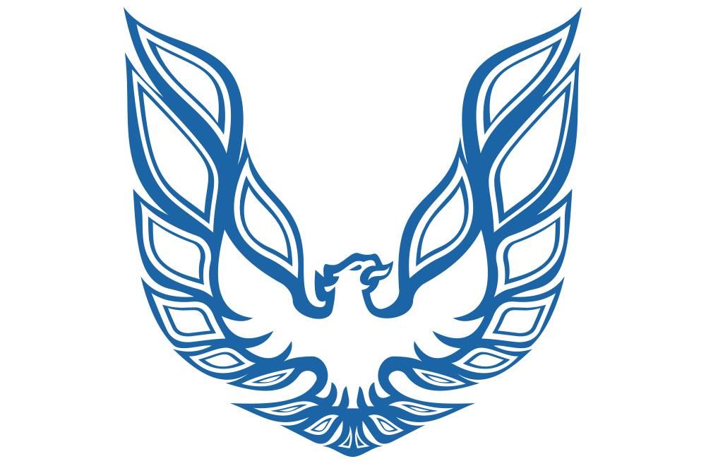 Pontiac TransAm Vinyl Firebird Graphic Wrap Decal - RacerX Customs