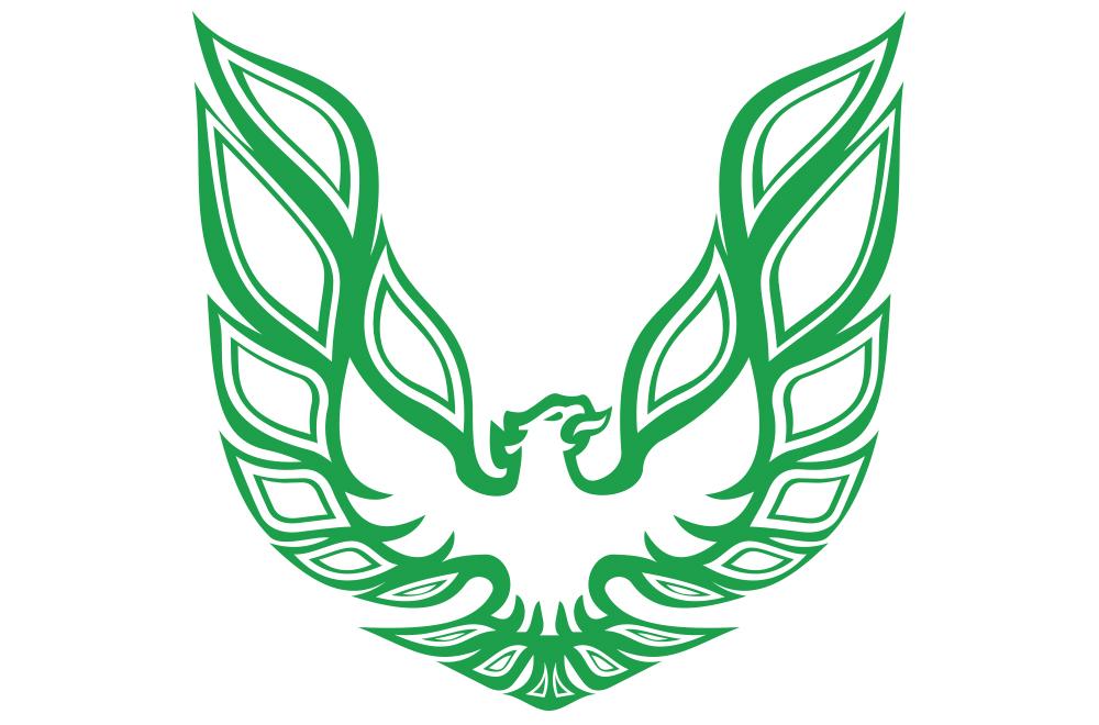 Pontiac TransAm Vinyl Firebird Graphic Wrap Decal - RacerX Customs