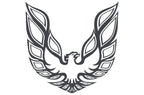 Pontiac TransAm Vinyl Firebird Graphic Wrap Decal - RacerX Customs